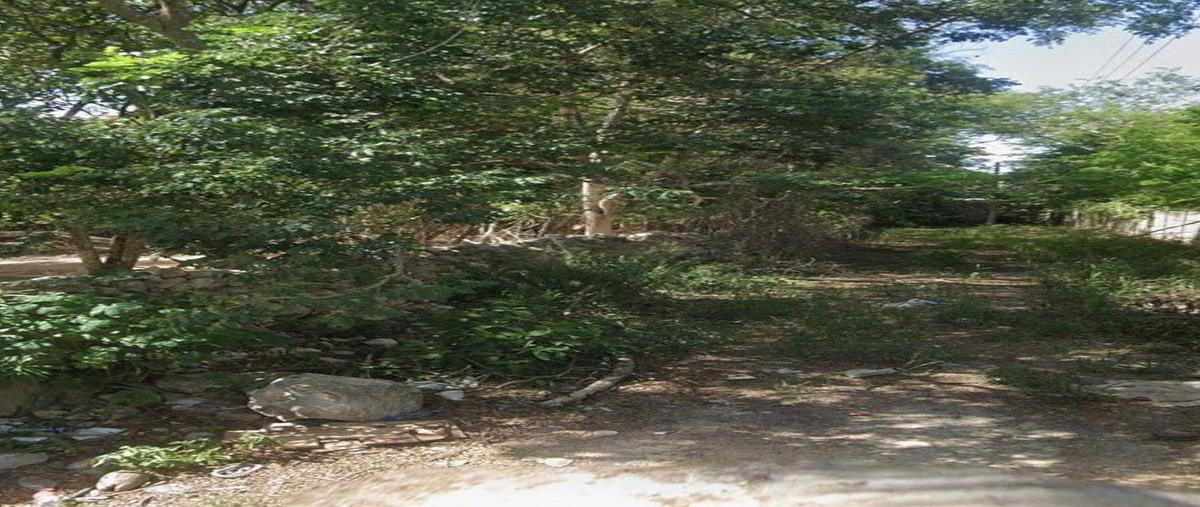 Foto de terreno habitacional en 20 , cholul, mérida, yucatán, 0 foto 05 Foto de terreno habitacional en venta en 20 , cholul, mérida, yucatán, 0 No. 05