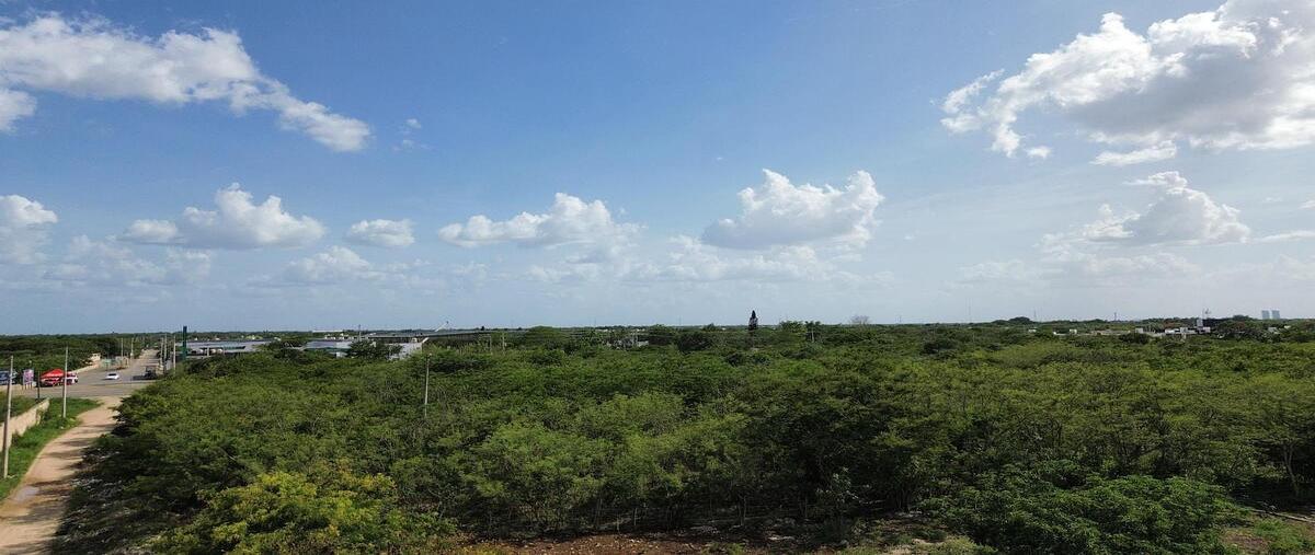 Foto de terreno habitacional en venta en 20 , conkal, conkal, yucatán, 0 No. 04
