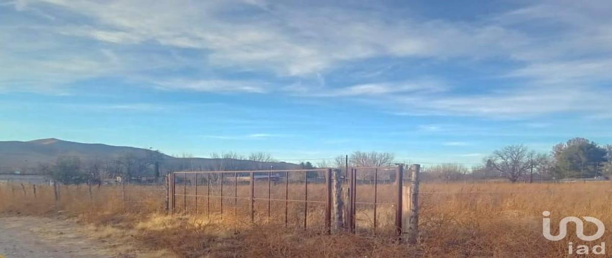 Foto de terreno habitacional en venta en 20 de noviembre 115, francisco i. madero, nuevo casas grandes, chihuahua, 30909212 No. 05