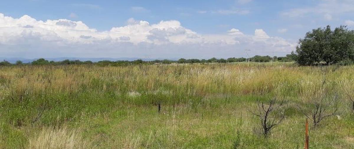 Foto de casa en venta en  , 20 de noviembre, luis moya, zacatecas, 7762441 No. 03