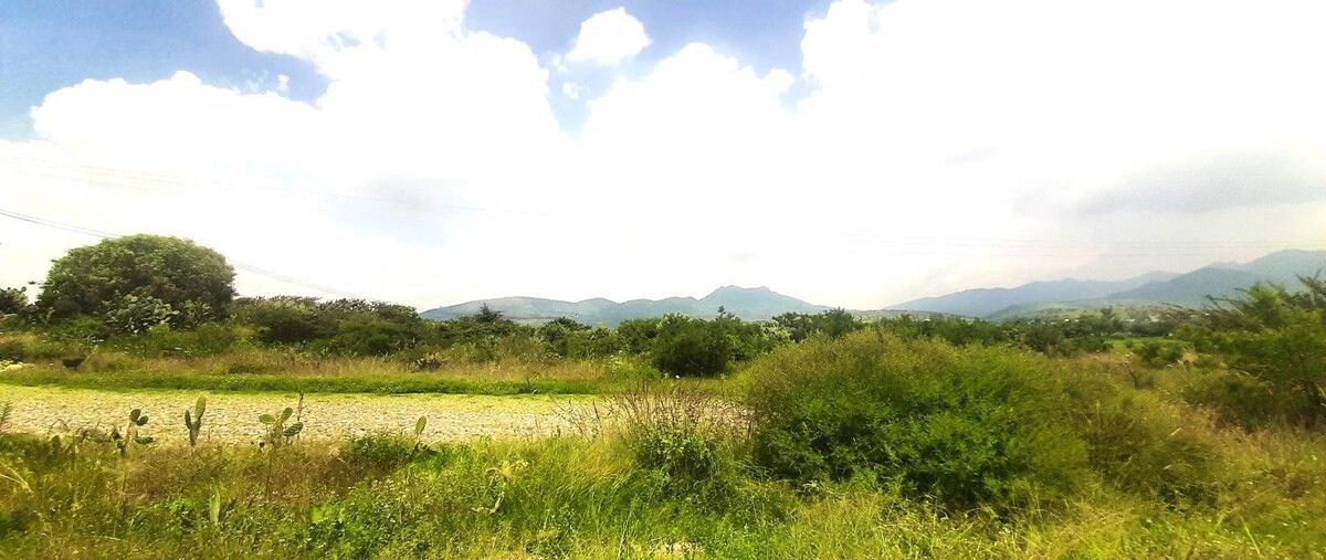 Foto de terreno habitacional en 20 de noviembre , santiago cuautlalpan, tepotzotlán, méxico, 0 foto 05 Foto de terreno habitacional en venta en 20 de noviembre , santiago cuautlalpan, tepotzotlán, méxico, 0 No. 05