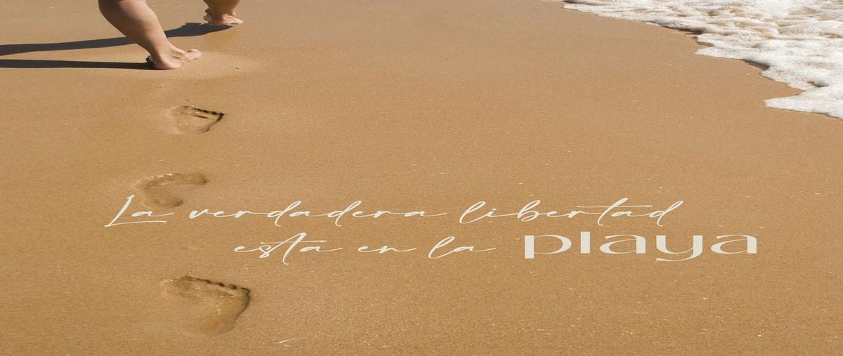 Foto de terreno habitacional en venta en 20 , dzidzantun, dzidzantún, yucatán, 28768117 No. 04