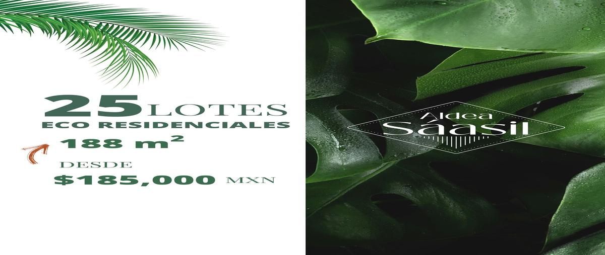 Foto de terreno habitacional en venta en 20 , dzidzantun, dzidzantún, yucatán, 28768117 No. 05