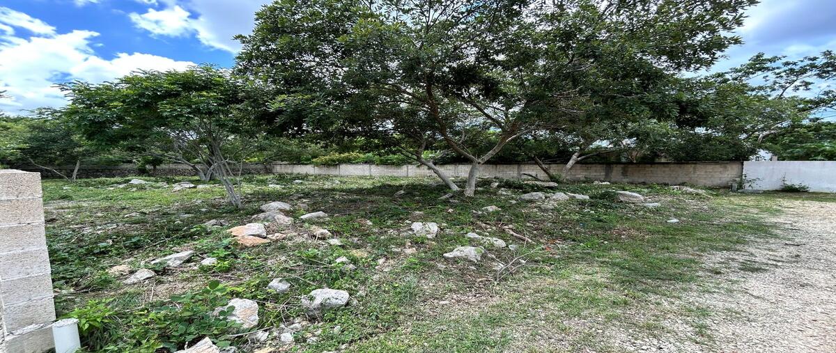Foto de terreno habitacional en venta en 20 , las margaritas de cholul, mérida, yucatán, 0 No. 03