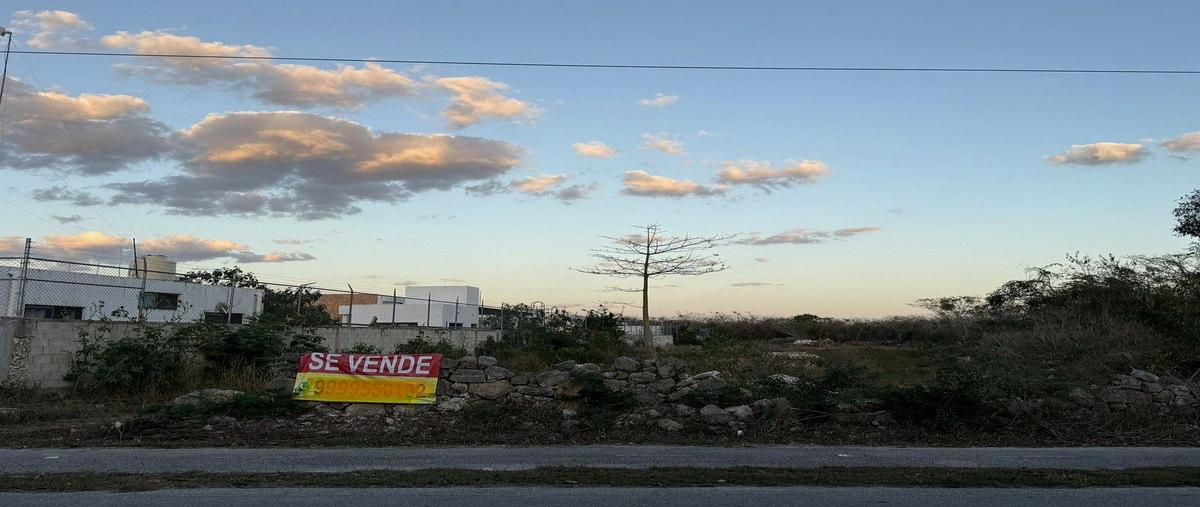 Foto de terreno habitacional en venta en 20 , sac-nicte, mérida, yucatán, 0 No. 03