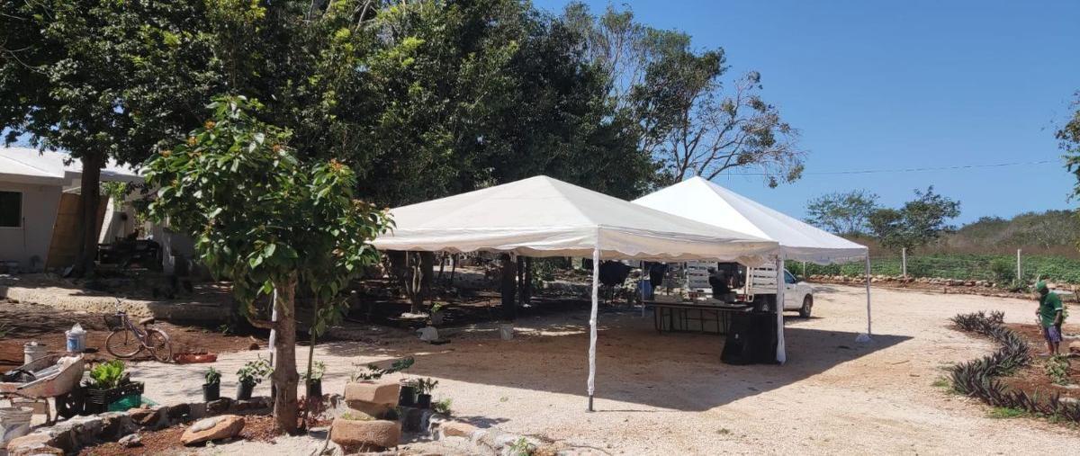 Foto de rancho en venta en 20 , seye, seyé, yucatán, 27423202 No. 05