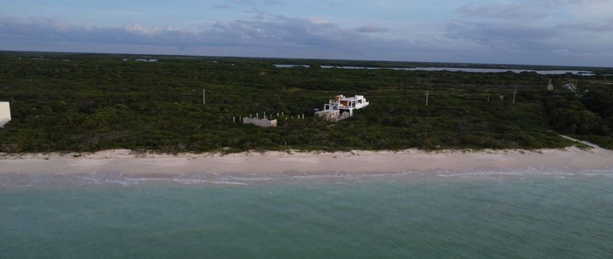 Foto de terreno habitacional en venta en 20 , sisal, hunucmá, yucatán, 0 No. 05