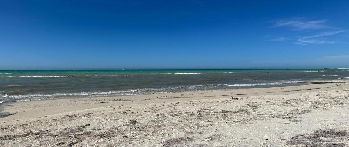 Foto de terreno habitacional en venta en 20 , sisal, hunucmá, yucatán, 29542888 No. 05