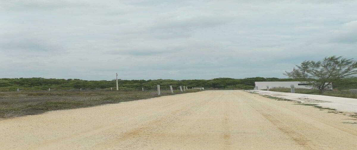 Foto de terreno habitacional en venta en 20 , sisal, hunucmá, yucatán, 0 No. 04