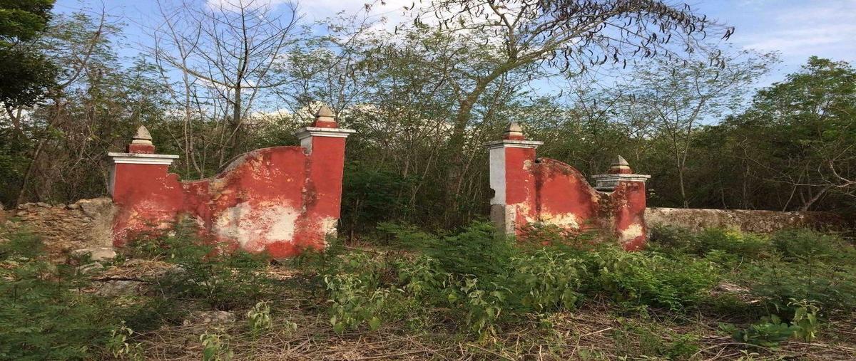 Foto de rancho en venta en 20 , timucuy, timucuy, yucatán, 25905629 No. 05