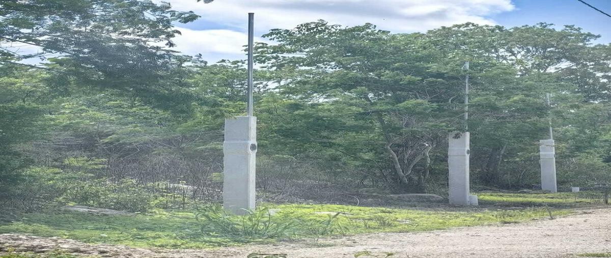 Foto de terreno habitacional en venta en 20 , yaxkukul, yaxkukul, yucatán, 0 No. 03