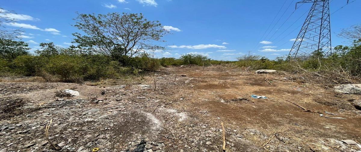 Foto de terreno habitacional en venta en 200 metros de las américas , dzitya, mérida, yucatán, 25452277 No. 03