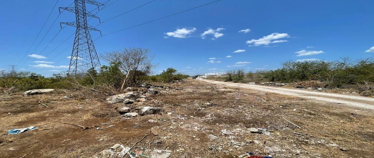 Foto de terreno habitacional en venta en 200 metros de las américas , dzitya, mérida, yucatán, 25452277 No. 05