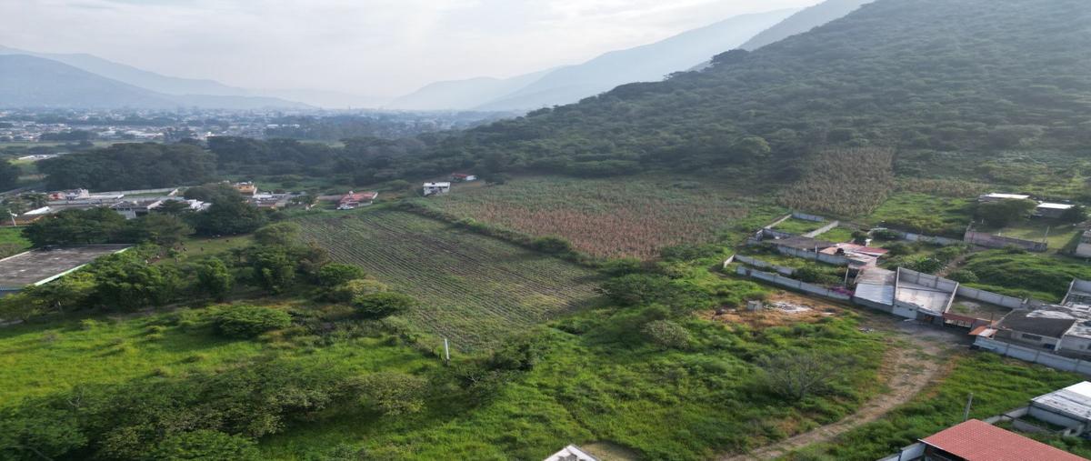 Foto de terreno habitacional en venta en  , 2000, nogales, veracruz de ignacio de la llave, 0 No. 03