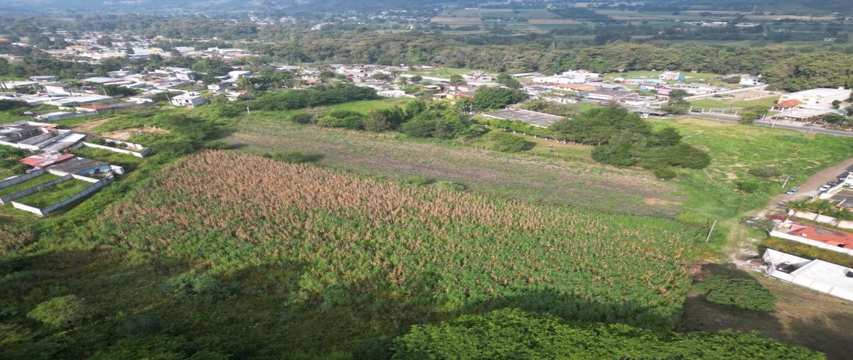 Foto de terreno habitacional en venta en  , 2000, nogales, veracruz de ignacio de la llave, 0 No. 04