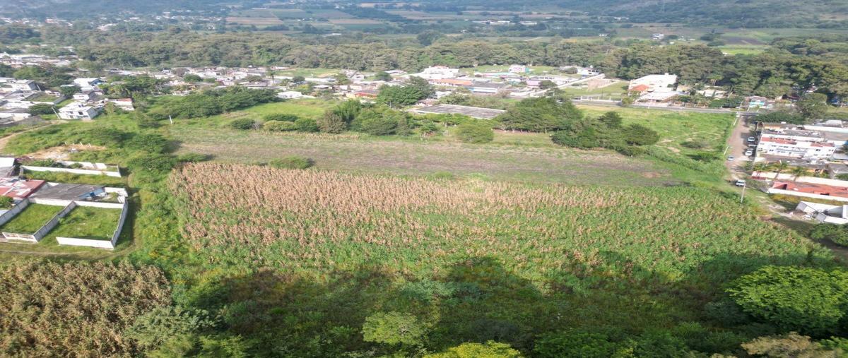 Foto de terreno habitacional en venta en  , 2000, nogales, veracruz de ignacio de la llave, 0 No. 05
