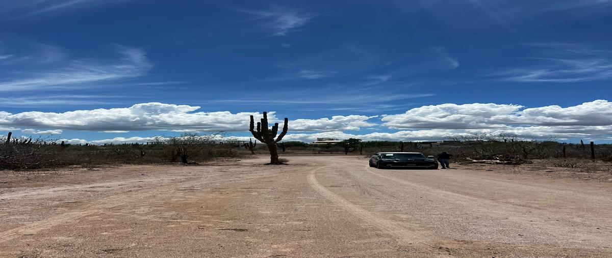 Foto de terreno habitacional en venta en 20va , el centenario, la paz, baja california sur, 30311414 No. 01