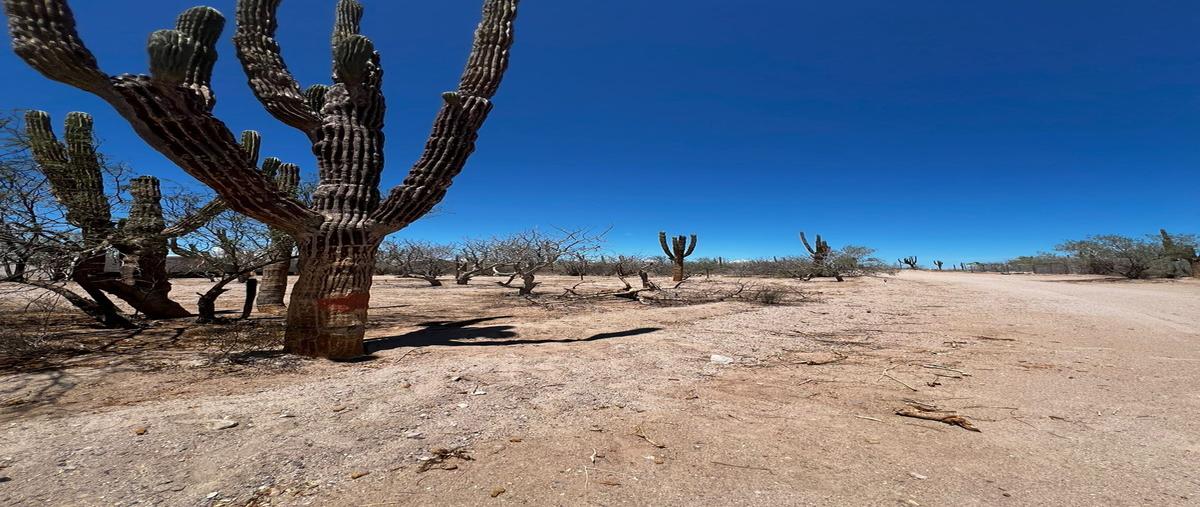 Foto de terreno habitacional en venta en 20va , el centenario, la paz, baja california sur, 30311414 No. 03