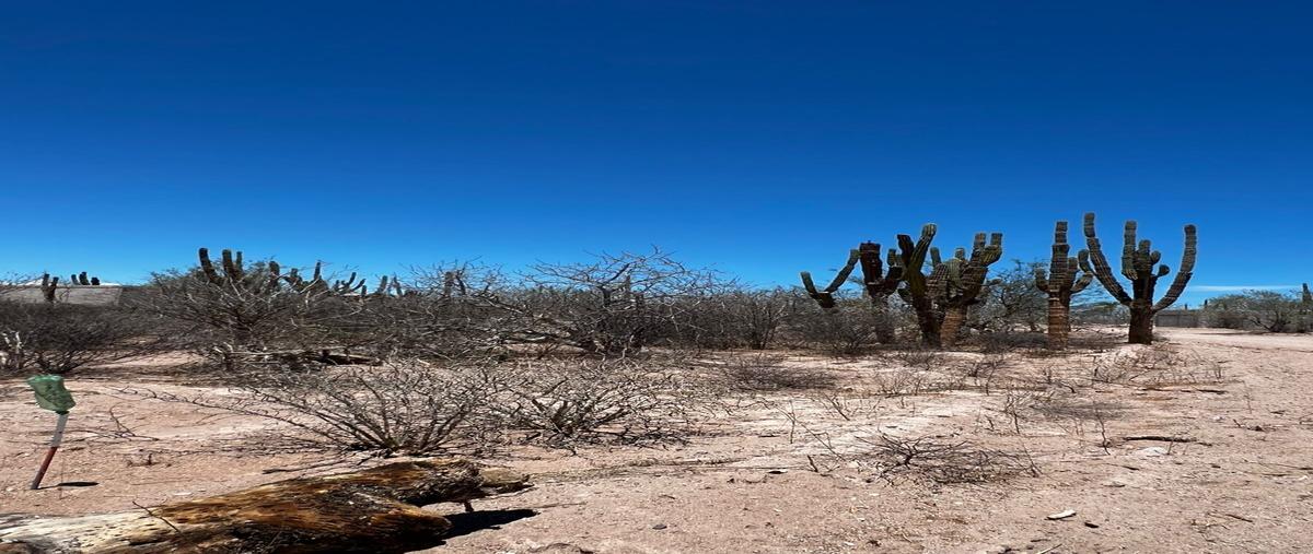 Foto de terreno habitacional en venta en 20va , el centenario, la paz, baja california sur, 30311414 No. 04