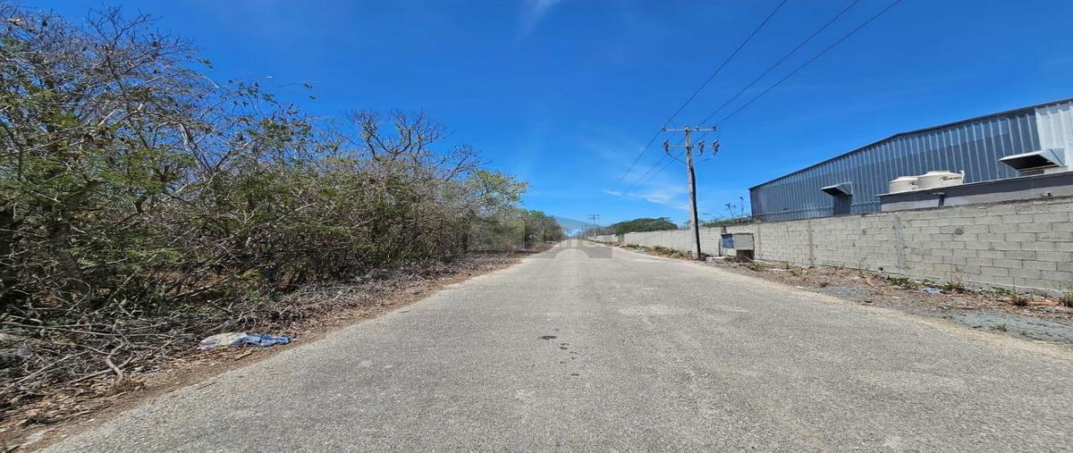 Foto de terreno comercial en venta en 21 1, baca, baca, yucatán, 27932618 No. 04