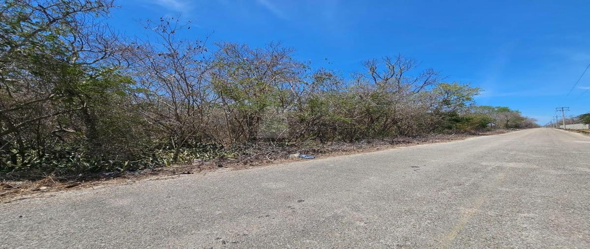 Foto de terreno industrial en venta en 21 1, baca, baca, yucatán, 27932618 No. 05