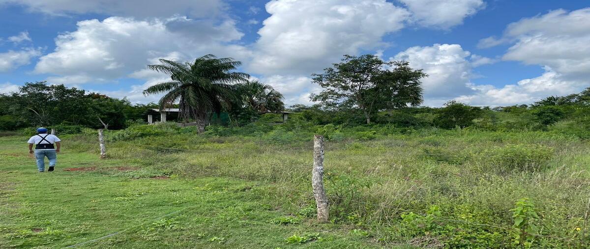 Foto de rancho en venta en 21 , alfonso caso, tzucacab, yucatán, 27686483 No. 03