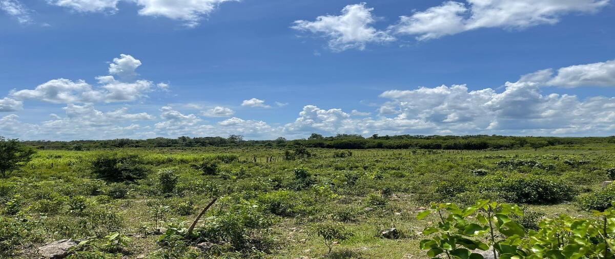 Foto de rancho en venta en 21 , alfonso caso, tzucacab, yucatán, 27686483 No. 04
