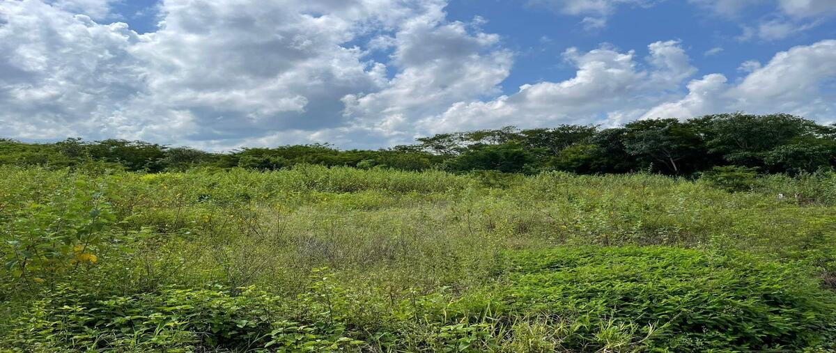 Foto de rancho en venta en 21 , alfonso caso, tzucacab, yucatán, 27686483 No. 05