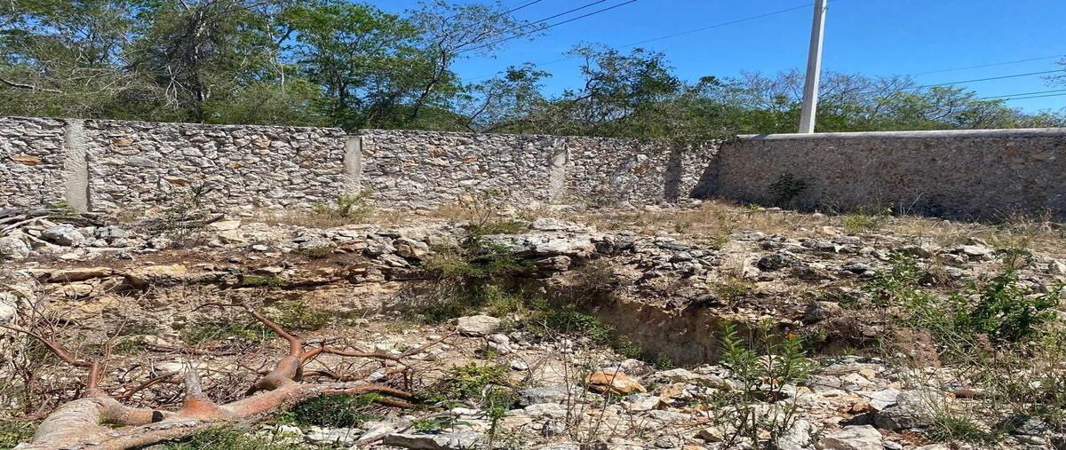 Foto de terreno habitacional en 21 , centro hunucmá, hunucmá, yucatán, 0 foto 01 Foto de terreno habitacional en venta en 21 , centro hunucmá, hunucmá, yucatán, 0 No. 01