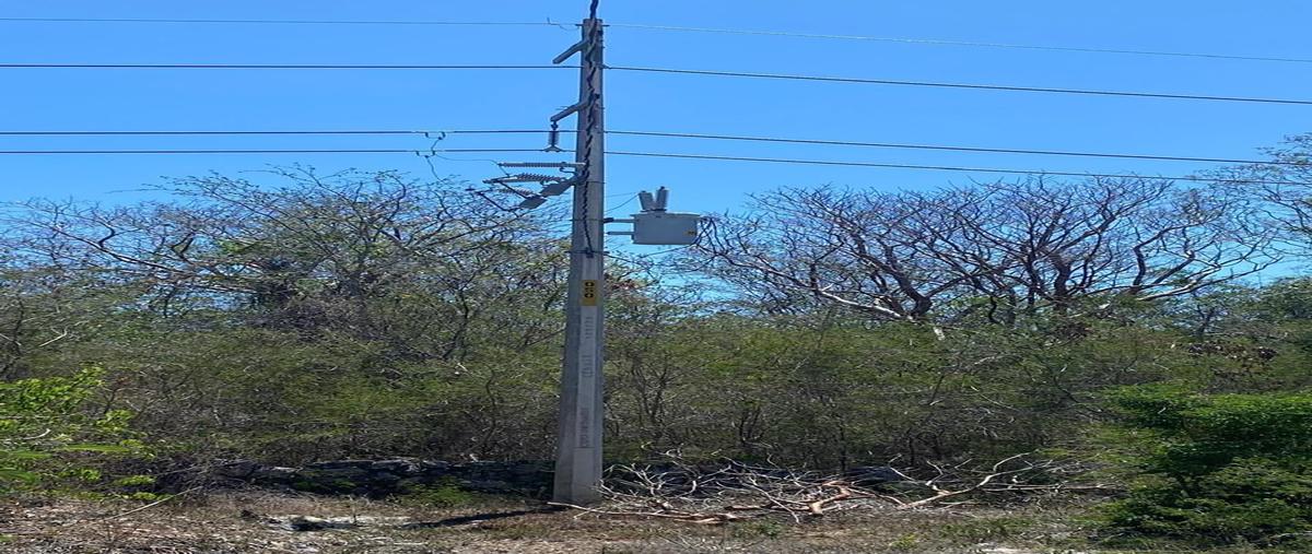 Foto de terreno habitacional en 21 , centro hunucmá, hunucmá, yucatán, 0 foto 04 Foto de terreno habitacional en venta en 21 , centro hunucmá, hunucmá, yucatán, 0 No. 04