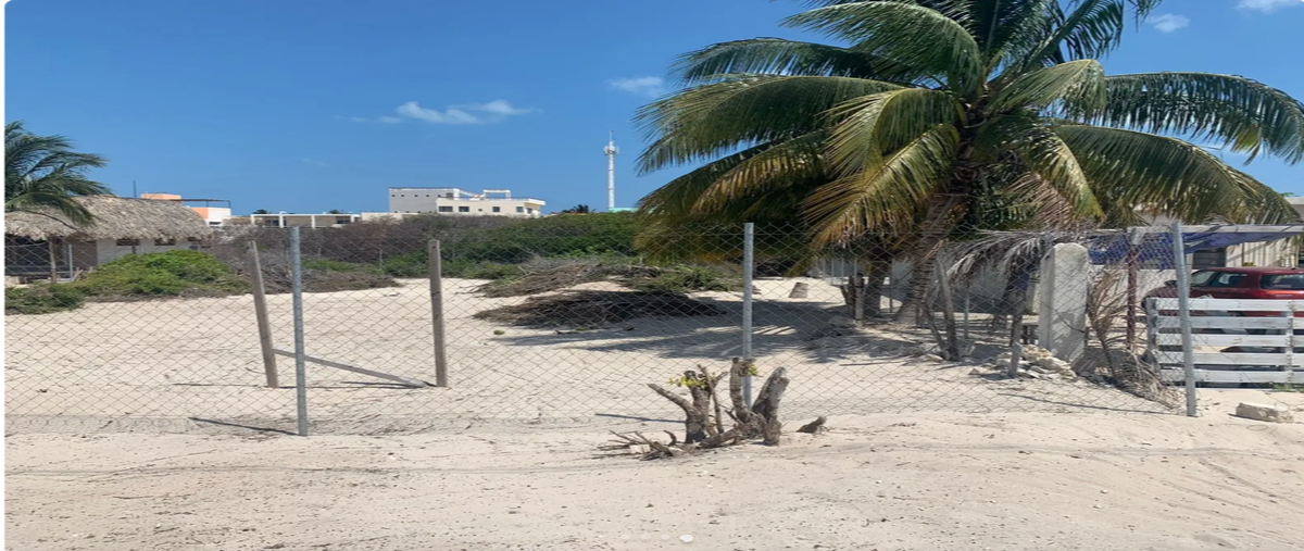 Foto de terreno comercial en renta en 21 , chelem, progreso, yucatán, 0 No. 05