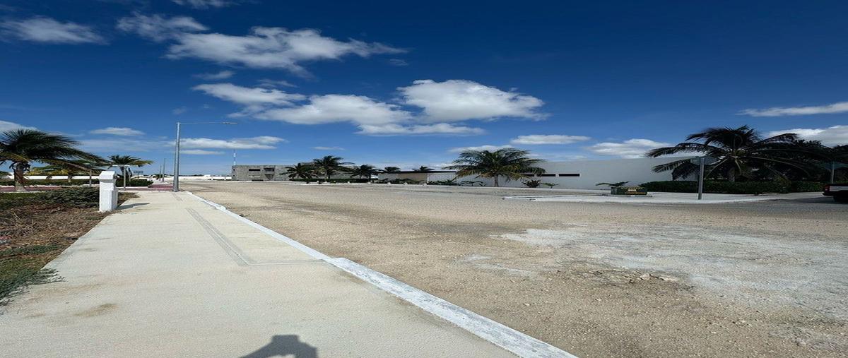 Foto de terreno habitacional en venta en 21 , chelem, progreso, yucatán, 0 No. 05