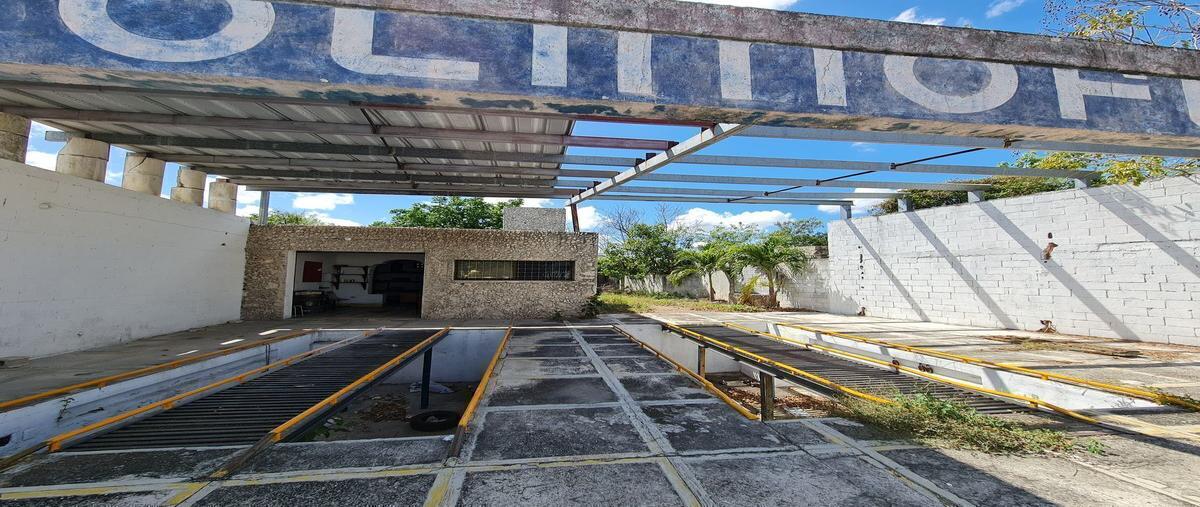 Foto de terreno habitacional en venta en 21 , circuito colonias, mérida, yucatán, 27609095 No. 05