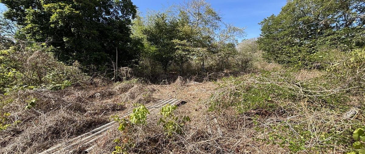 Foto de terreno habitacional en venta en 21 , conkal, conkal, yucatán, 0 No. 04