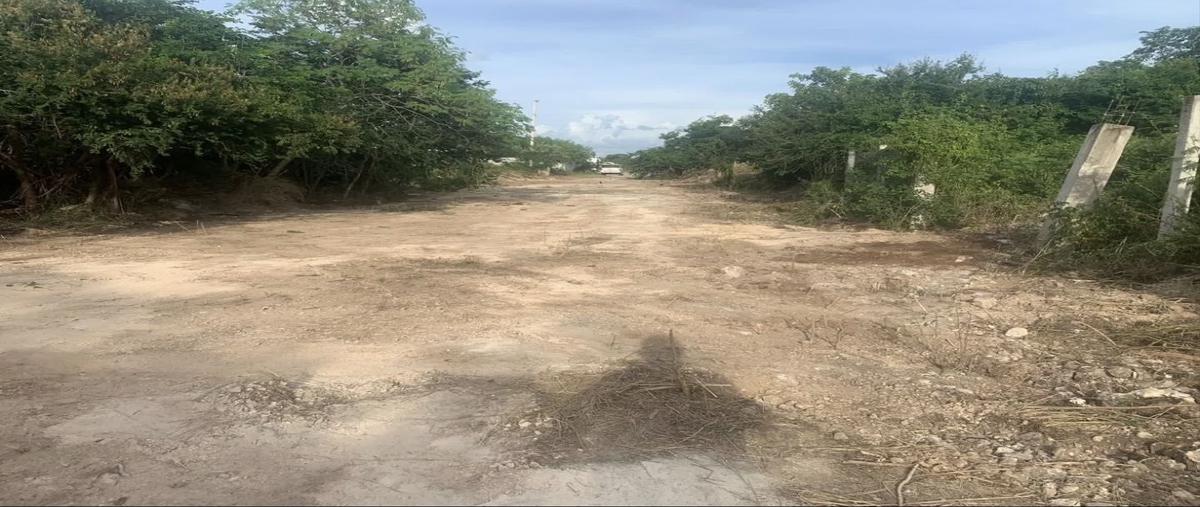 Foto de terreno habitacional en venta en 21 , dzitya, mérida, yucatán, 29691552 No. 03