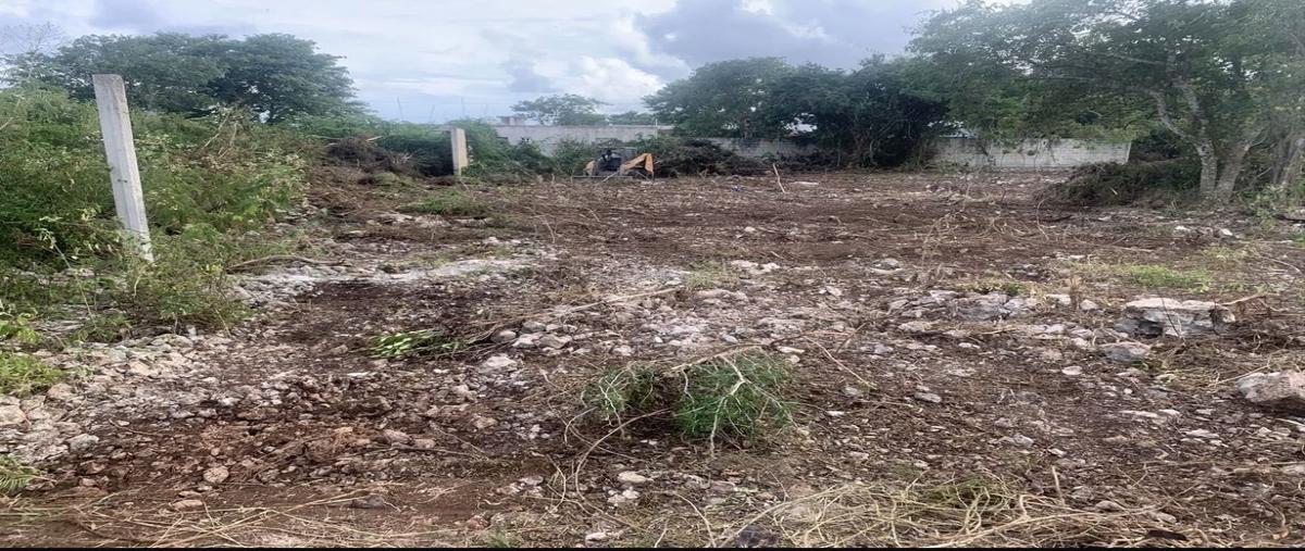Foto de terreno habitacional en venta en 21 , dzitya, mérida, yucatán, 29691552 No. 05