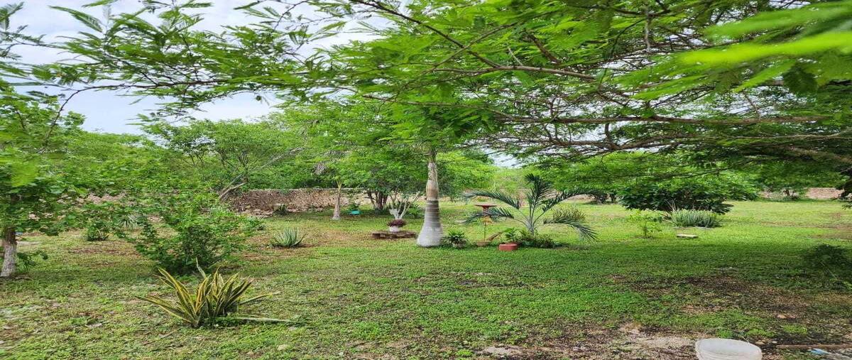 Foto de rancho en venta en 21 , mococha, mocochá, yucatán, 0 No. 05