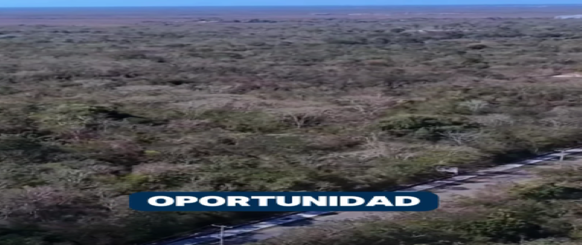 Foto de terreno habitacional en 21 , mococha, mocochá, yucatán, 29848196 foto 02 Foto de terreno habitacional en venta en 21 , mococha, mocochá, yucatán, 29848196 No. 02