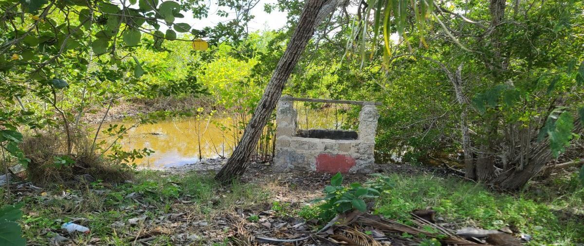 Foto de terreno habitacional en venta en 21 , santa clara, dzidzantún, yucatán, 0 No. 04