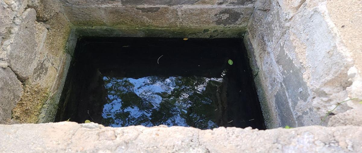 Foto de terreno habitacional en venta en 21 , santa clara, dzidzantún, yucatán, 0 No. 05