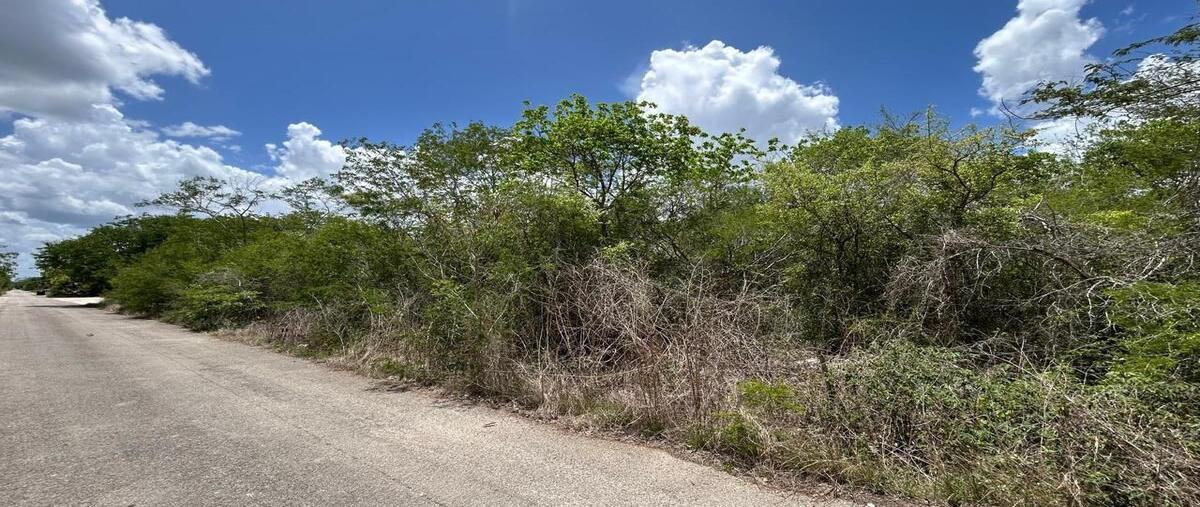 Foto de terreno habitacional en venta en 21 , temozon norte, mérida, yucatán, 30009614 No. 03