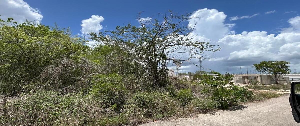 Foto de terreno habitacional en venta en 21 , temozon norte, mérida, yucatán, 30009614 No. 05