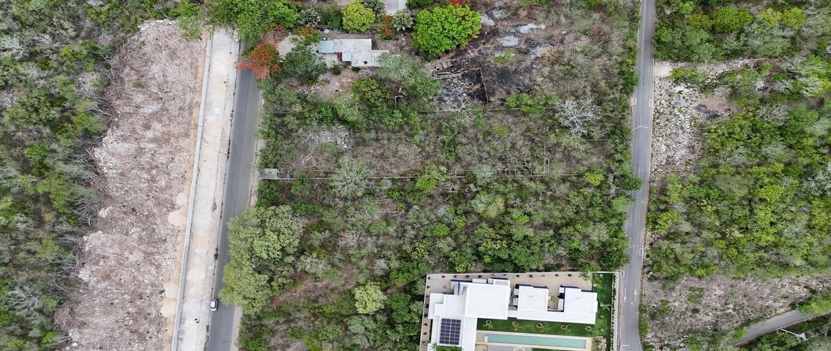 Foto de terreno habitacional en venta en 21 , xcunyá, mérida, yucatán, 0 No. 04