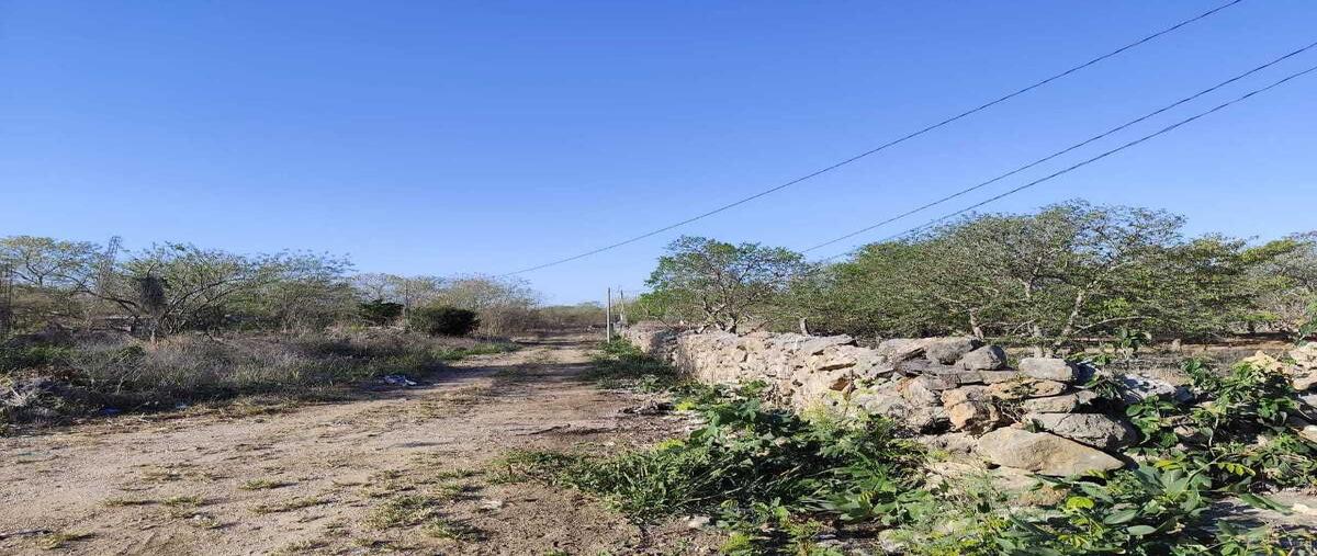 Foto de terreno habitacional en venta en 211 , dzununcán, mérida, yucatán, 29741723 No. 04