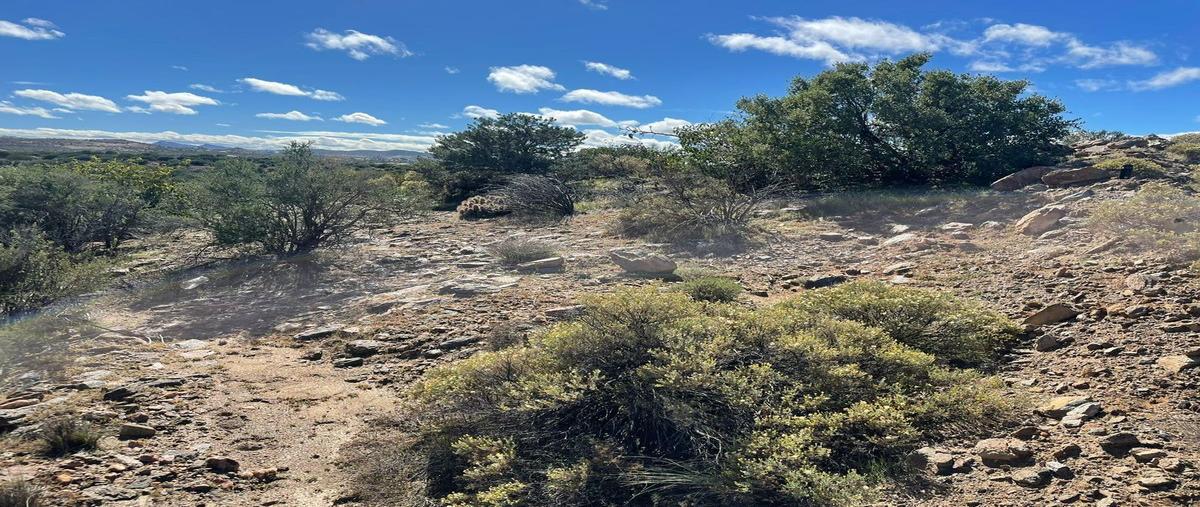 Foto de terreno habitacional en 21511 manchón blancob.c. , la rumorosa, tecate, baja california, 25807317 foto 03 Foto de terreno habitacional en venta en 21511 manchón blancob.c. , la rumorosa, tecate, baja california, 25807317 No. 03