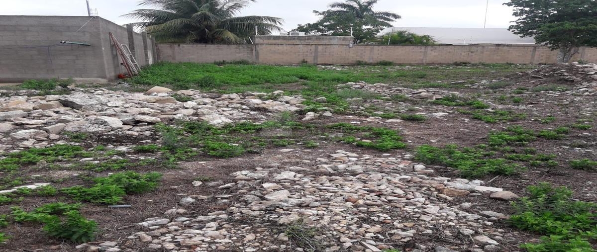 Foto de terreno habitacional en venta en 22 91, tamanché, mérida, yucatán, 0 No. 05