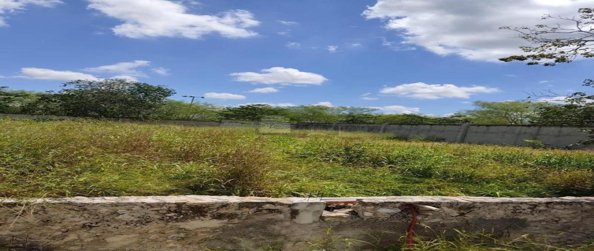 Foto de terreno habitacional en venta en 22 91, tamanché, mérida, yucatán, 0 No. 04