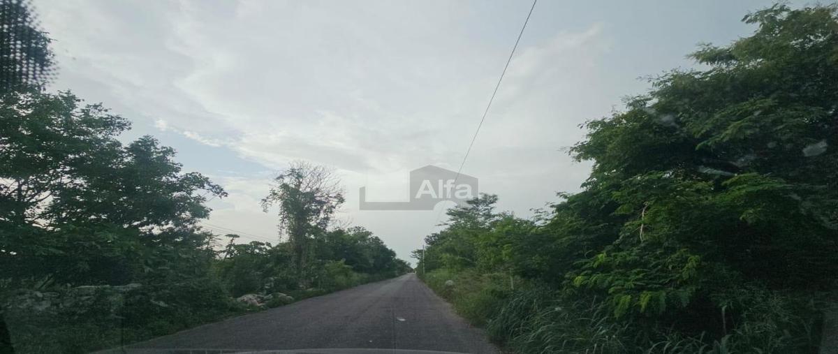 Foto de terreno habitacional en venta en 22 956, mococha, mocochá, yucatán, 0 No. 03