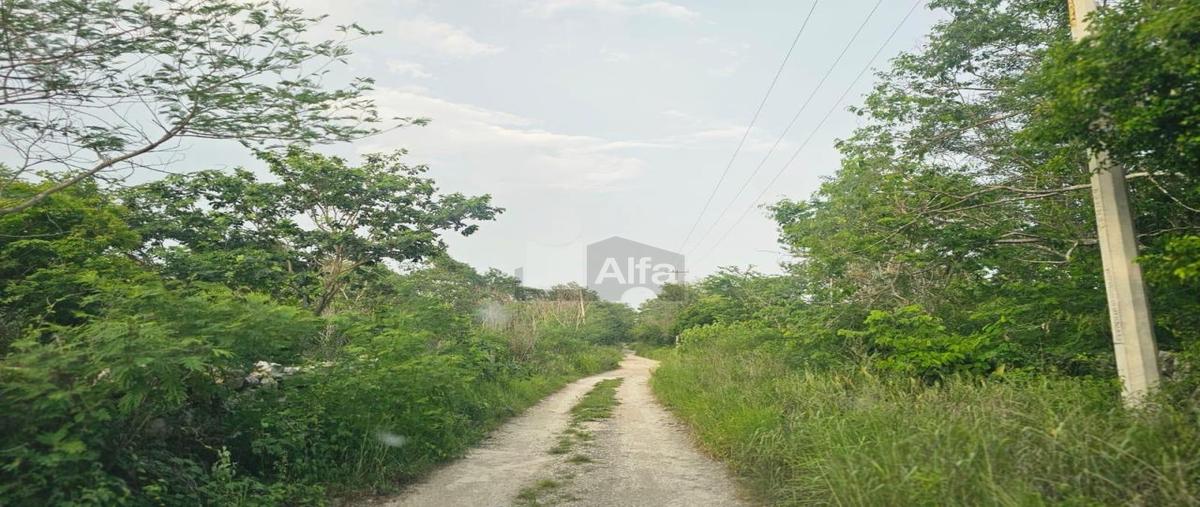 Foto de terreno habitacional en venta en 22 956, mococha, mocochá, yucatán, 0 No. 04