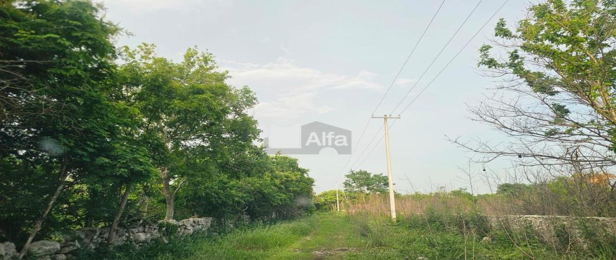 Foto de terreno habitacional en venta en 22 956, mococha, mocochá, yucatán, 0 No. 05